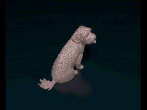 Maltese 3D Print Model