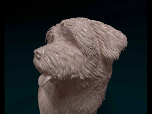 Maltese 3D Print Model