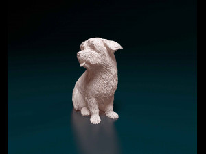 Maltese 3D Print Model
