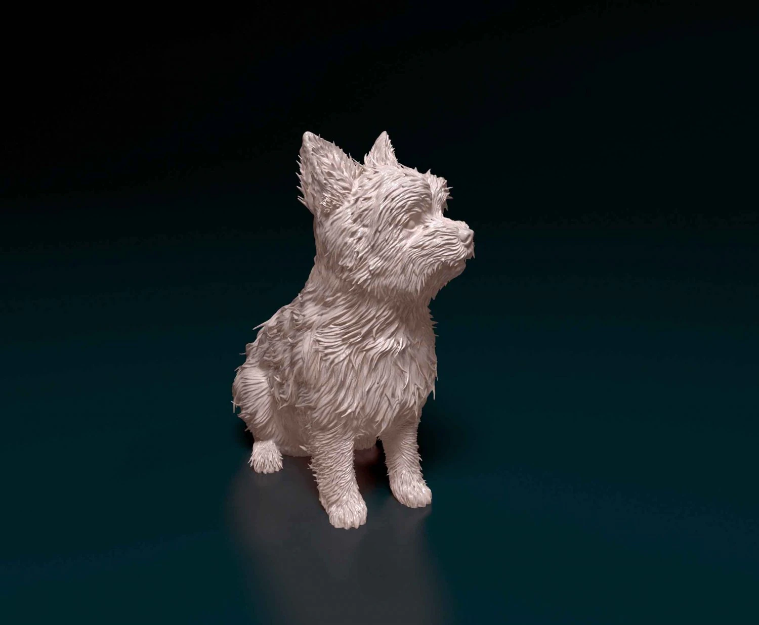 Yorkshire terrier 3D Print Model .c4d .max .obj .3ds .fbx .stl .blend 