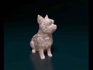 Yorkshire terrier 3D Print Model