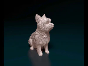 Yorkshire terrier 3D Print Model