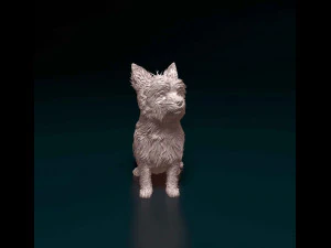 Yorkshire terrier 3D Print Model
