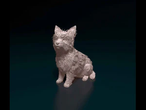 Yorkshire terrier 3D Print Model