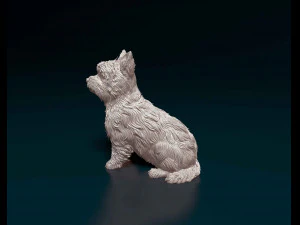 Yorkshire terrier 3D Print Model