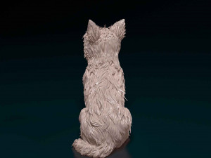 Yorkshire terrier Modèles 3D en vedette