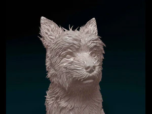 Yorkshire terrier 3D Print Model