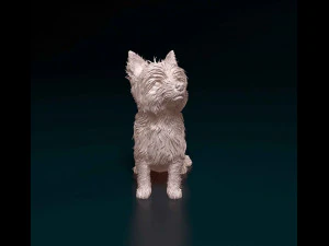 Yorkshire terrier 3D Print Model