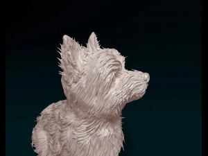 Yorkshire terrier 3D Print Model