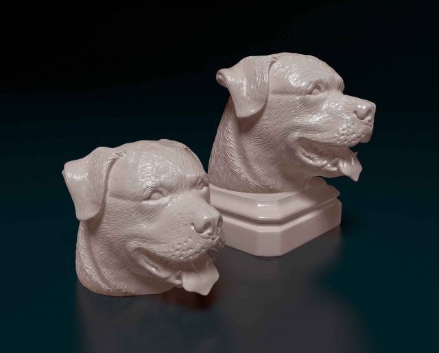 Rottweiler head Model do druku 3D .c4d .max .obj .3ds .fbx .stl .blend 