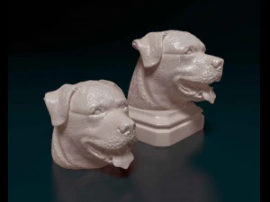 Cabe&ccedil;a de rottweiler Modelo de Impressão 3D