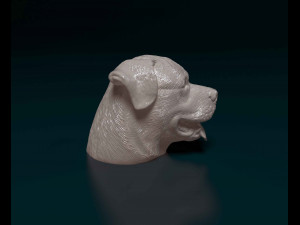Rottweiler head Model do druku 3D