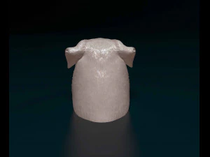 Rottweiler head 3D Print Model