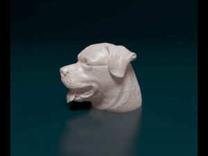 Rottweiler head Model do druku 3D