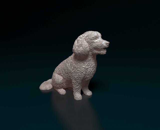 Bichon Frise Model Cetak 3D .c4d .max .obj .3ds .fbx .stl .blend 