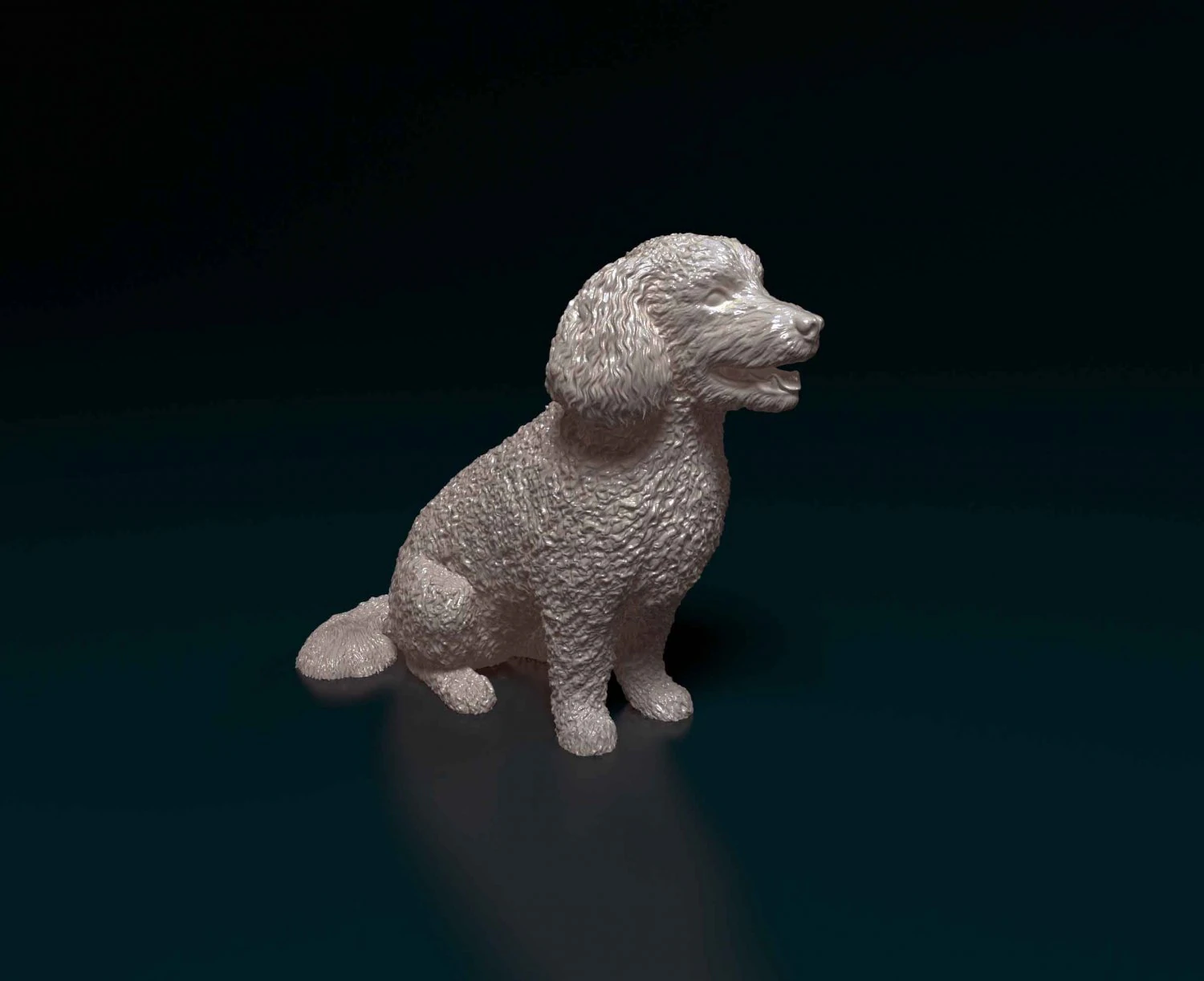Bichon Frise 3D Print Model .c4d .max .obj .3ds .fbx .stl .blend 