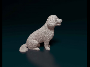 Bichon Frise Model Cetak 3D