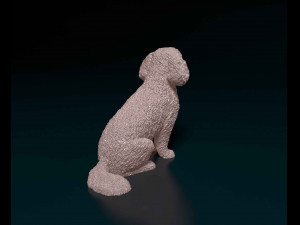 Bichon Frise Model Cetak 3D