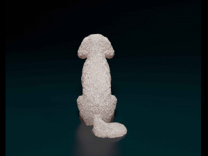 Bichon Frise Model Cetak 3D