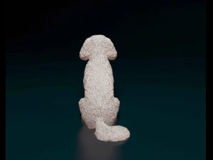 Bichon Frise 3D Print Model
