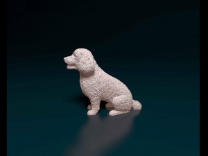 Bichon Frise Model Cetak 3D
