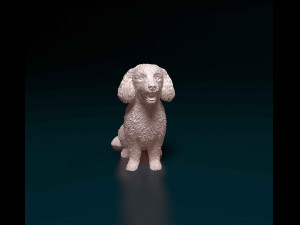 Bichon Frise Model Cetak 3D