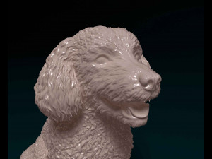 Bichon Frise Model Cetak 3D
