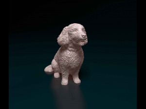 Bichon Frise Model Cetak 3D