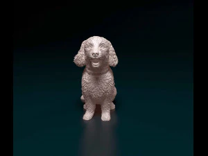 Bichon Frise 3D Print Model