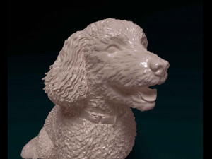 Bichon Frise Model Cetak 3D