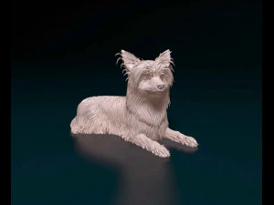 terrier de yorkshire Modelo de impresión 3D