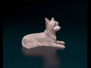 Yorkshire terrier 3D Принт Модель
