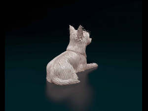 Yorkshire terrier 3D Принт Модель