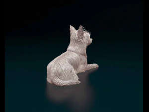 Yorkshire terrier 3D Print Model