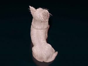 Yorkshire terrier 3D Принт Модель
