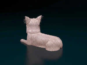 Yorkshire terrier 3D Print Model