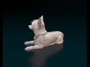 Yorkshire terrier 3D Print Model
