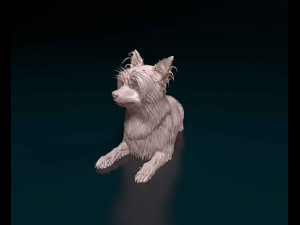 Yorkshire terrier 3D Принт Модель