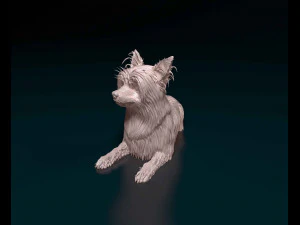 Yorkshire terrier 3D Print Model