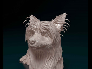 Yorkshire terrier 3D Принт Модель