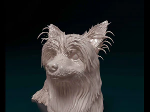 Yorkshire terrier 3D Print Model