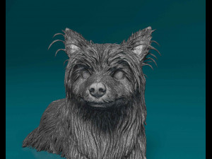 Yorkshire terrier 3D Принт Модель
