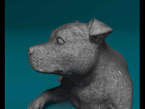 Staffie 3D Print Model