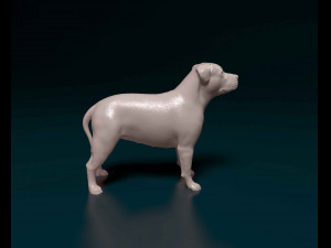 Pit Bull terrier Modelo de Impressão 3D