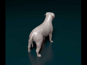 Pit Bull terrier Modelo de Impressão 3D