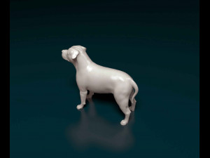 Pit Bull terrier Modelo de Impressão 3D