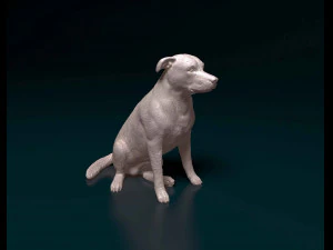 Huntaway 3D Print Model