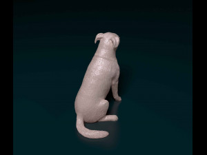 Huntaway 3D Print Model