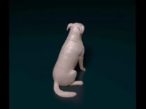 Huntaway 3D Print Model