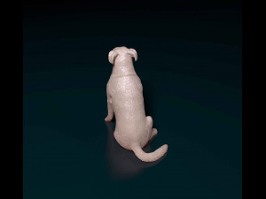 Huntaway 3D Print Model
